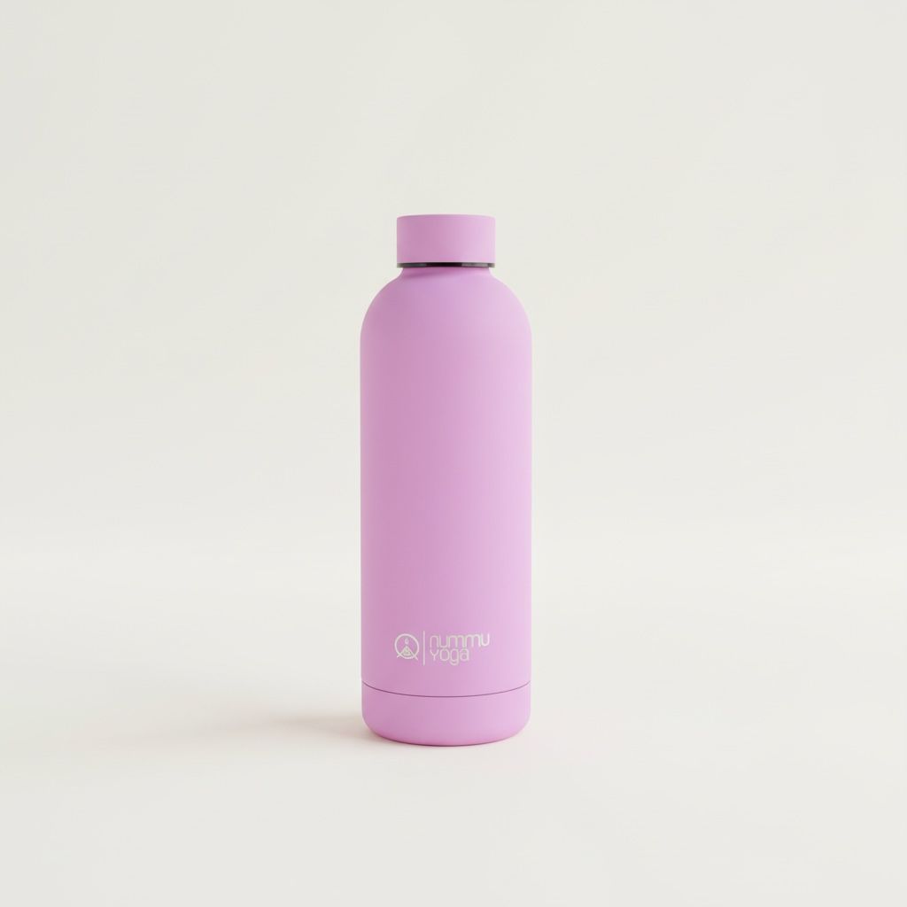 Botella Acero Inoxidable 520ml